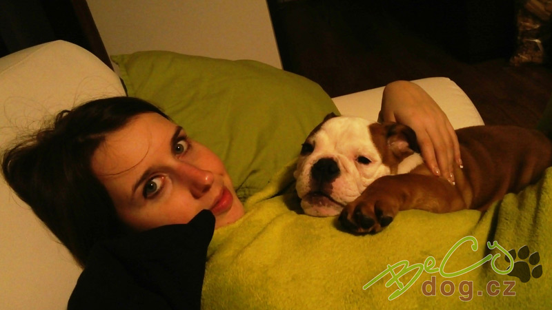 Tipy, jak si vybrat pejska z útulku IMG_20141217_203921_wm