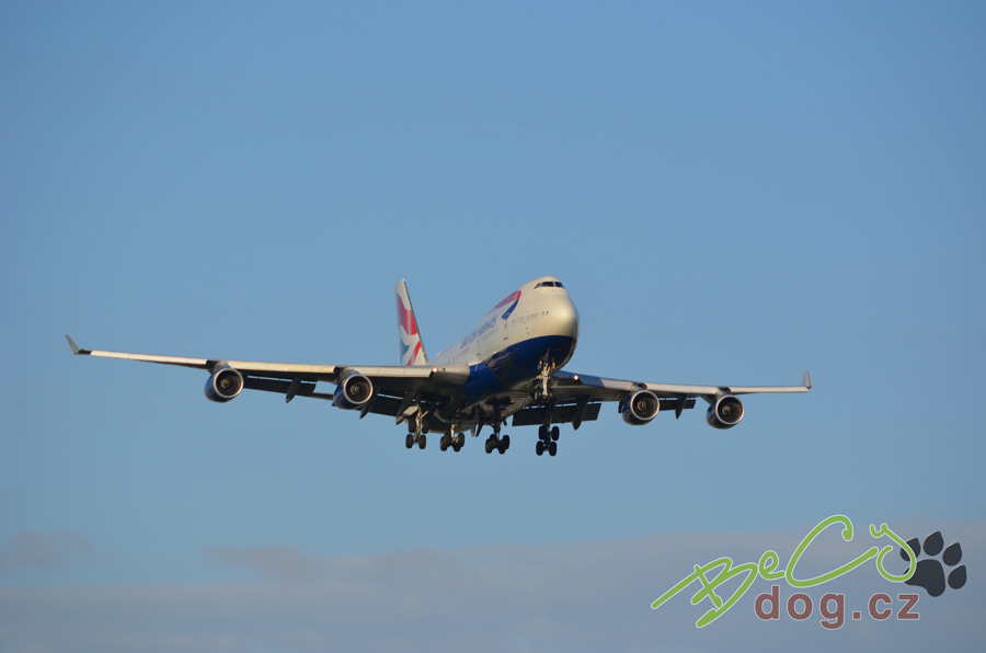 Cestování se psem letadlem: Připravte se včas a důkladně London-2015-498