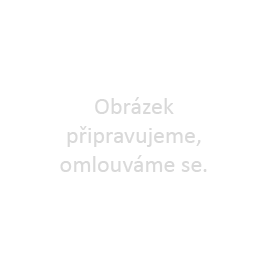 Obrázek nenalezen chybějící obrázek