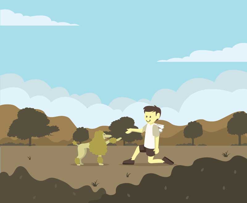 Když pejsek přijde o zrak nebo sluch… Poddle3
