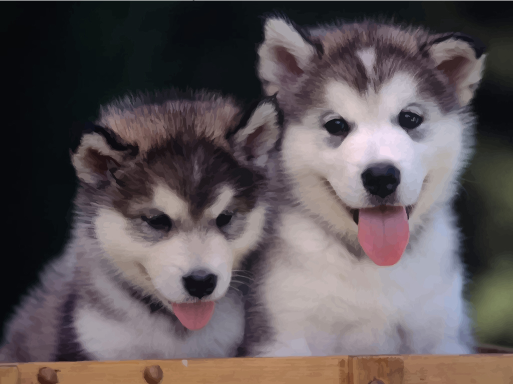 Mazlení, motorika i povídání aneb Jak funguje canisterapie FreeVector-Young-Huskies