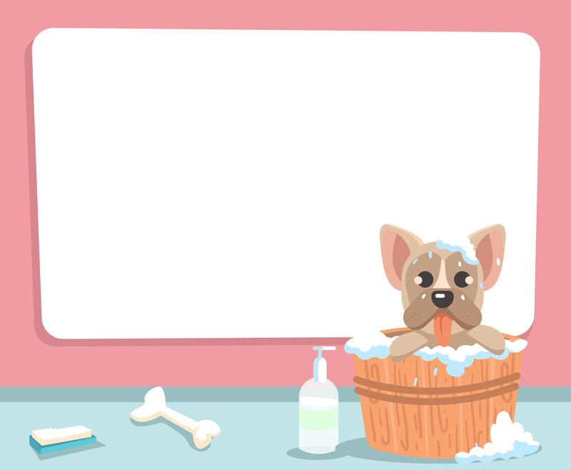 Krásný kožíšek bez hodin práce? Jak pečovat o dlouhou psí srst snadno a správně Grooming-vector-5