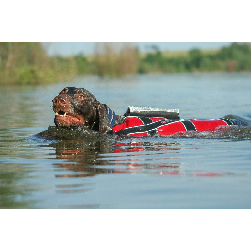 4 pomůcky, díky kterým se z vašeho pejska stane dokonalý plavec safe_life_jacket_water-800x800