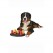Hračka pes Dog Activity Solitaire kruh s kužel 29cm TR