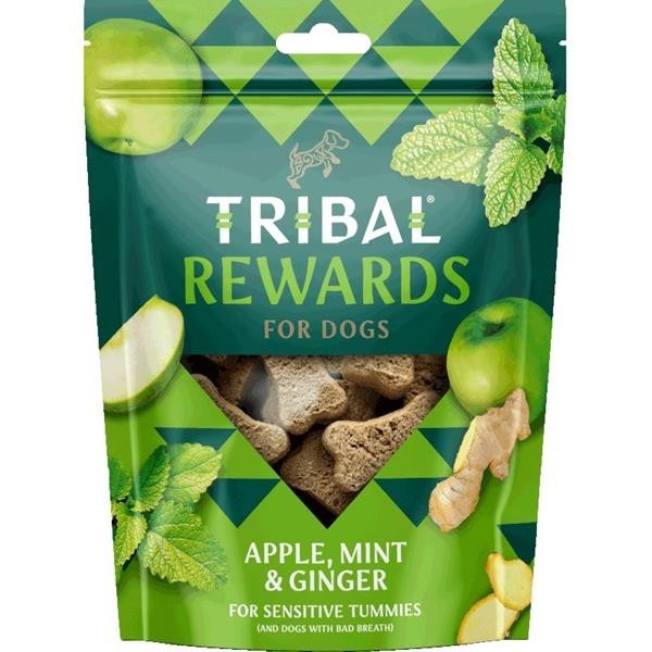 Levně Tribal Snack Apple, Mint&Ginger 125 g