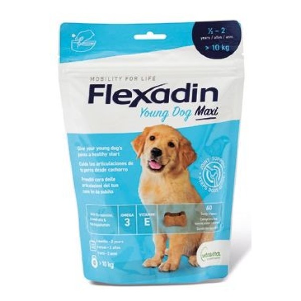 Levně Flexadin Young Dog Maxi žvýkací 60 tbl