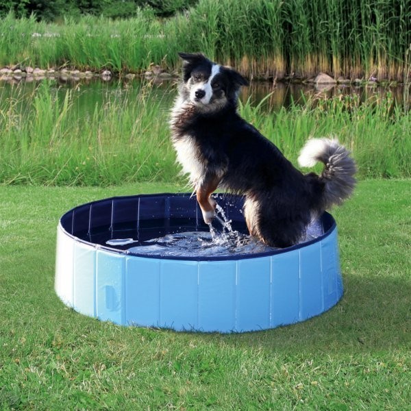 Levně Bazén pro psy 120 x 30 cm světle modrá/modrá