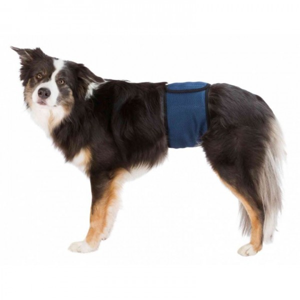 Levně Inkontinenční pás pro psa L 55-65 cm tmavě modrý